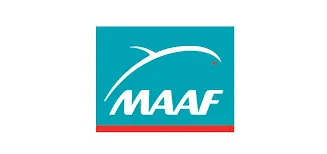 Maaf
